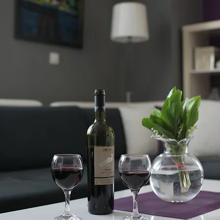 Appartement Luxury Near Parliament